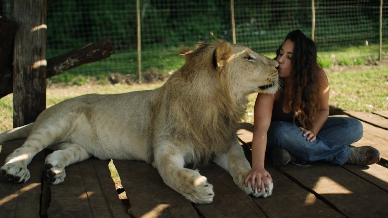 DO YOU HAVE A PET LION?