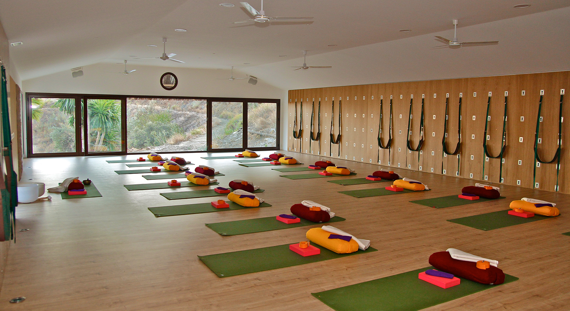 Get Your Dog On in Paris