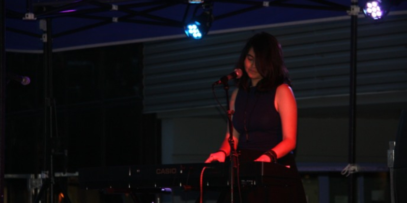 Mila Hanmark, Chanteur Chanteur en représentation à Seine et Marne - photo de couverture