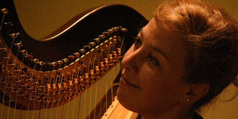 PERROT, Musiciens Classique en représentation à Hérault - photo de couverture n° 2