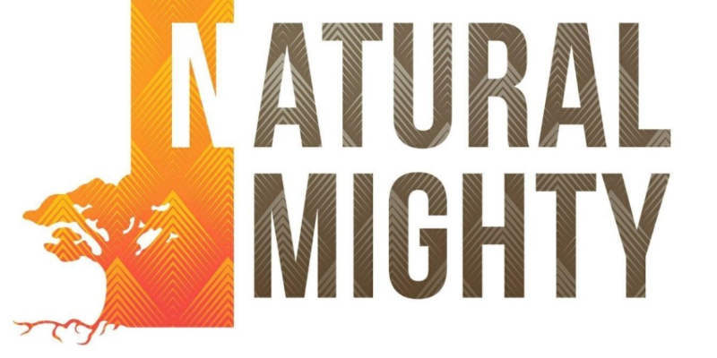 Natural Mighty , Groupe de Musique Reggae en représentation à Val de Marne - photo de couverture n° 1