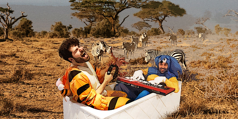 Animal, Musiciens Électronique en représentation à Hérault - photo de couverture