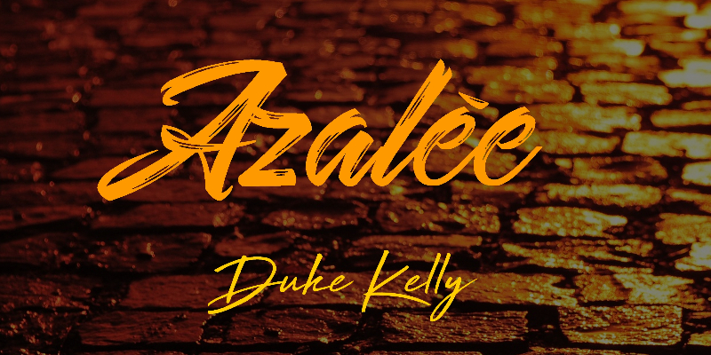 Duke Kelly, Musiciens Hip-hop en représentation - photo de couverture