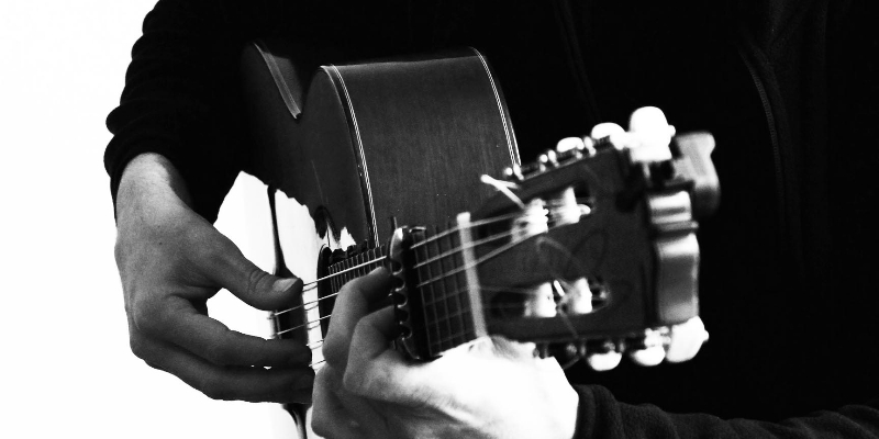 Dani Barba Moreno, Musiciens Guitariste en représentation - photo de couverture n° 1