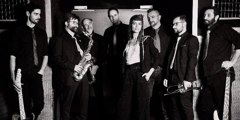 The Fine Allies, Groupe de Musique Funk en représentation à Dordogne - photo de couverture n° 2