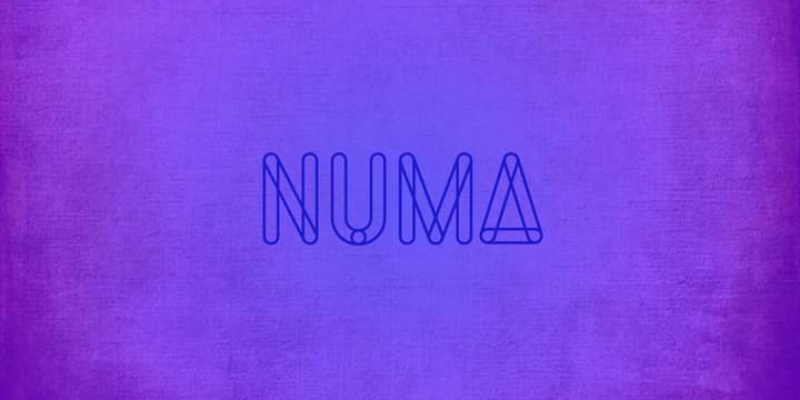 Numa, Chanteur Chanteur en représentation à Côtes d'Armor - photo de couverture