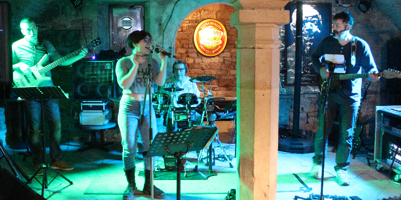 Dom, Musiciens Guitariste en représentation à Haute Saône - photo de couverture n° 2