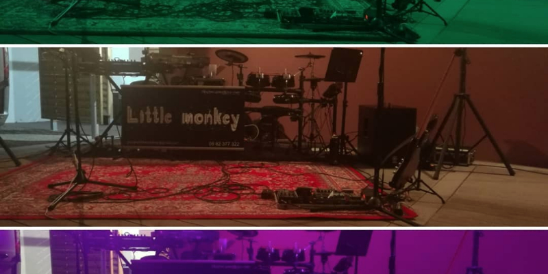 Little Monkey, Groupe de Musique Rock en représentation à Gironde - photo de couverture