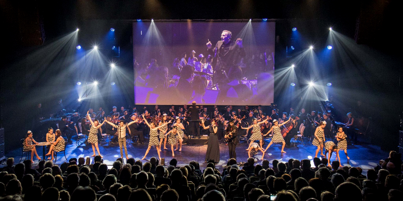 Choisi-C, Musiciens Rock en représentation à Seine et Marne - photo de couverture n° 3