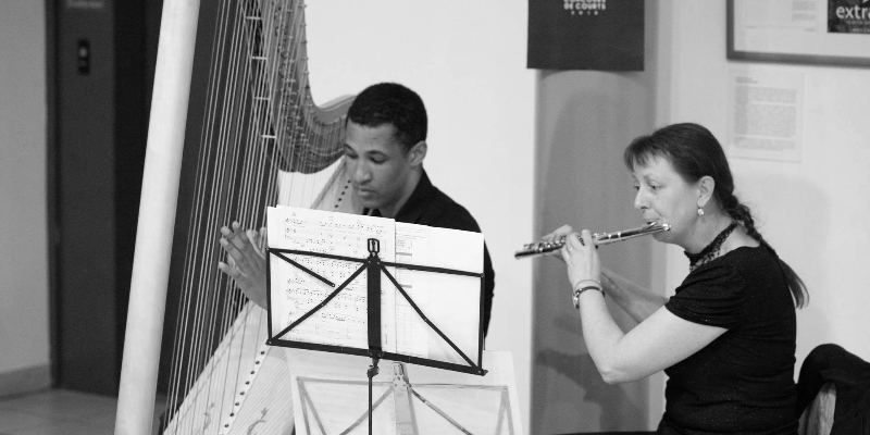 SamHarp, Musiciens Harpiste en représentation à Haute Garonne - photo de couverture n° 3