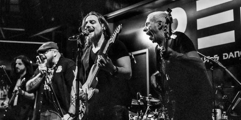 Potter, Groupe de Musique Rock en représentation à Indre et Loire - photo de couverture n° 2