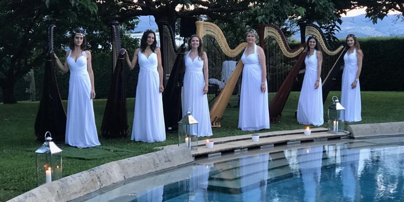 HARPSIDE, Groupe de Musique Ambient en représentation à Alpes Maritimes - photo de couverture n° 3