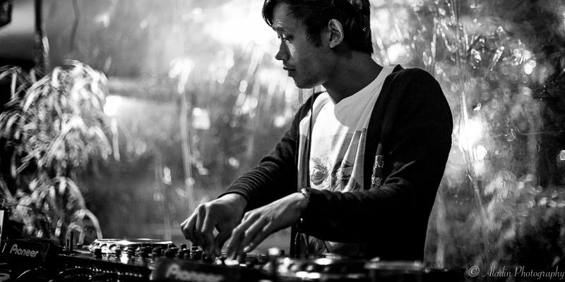 Mr. Raccoon, DJ DJ en représentation - photo de couverture n° 3