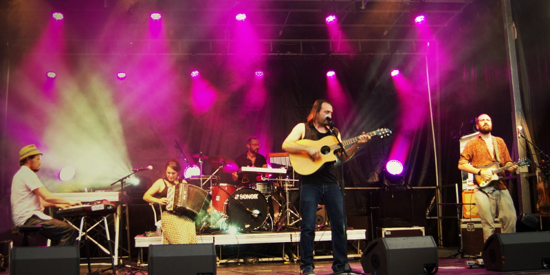 LA MAUVAISE HERBE, Chanteur Chanteur en représentation - photo de couverture n° 1