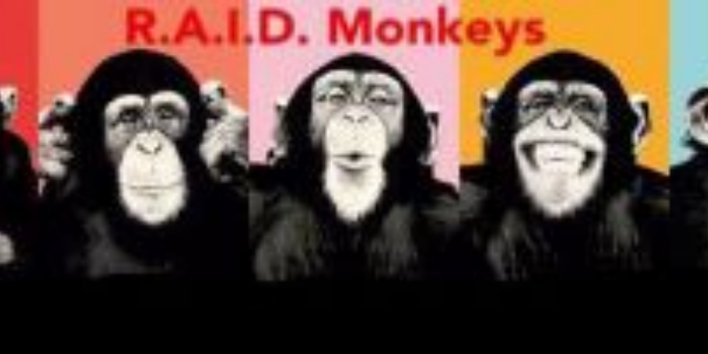 R.A.I.D. Monkeys, Groupe de Musique Rock en représentation à Vaucluse - photo de couverture n° 1