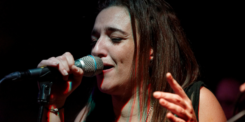 R.A.I.D. Monkeys, Groupe de Musique Rock en représentation à Vaucluse - photo de couverture n° 2