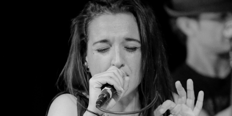 R.A.I.D. Monkeys, Groupe de Musique Rock en représentation à Vaucluse - photo de couverture n° 3