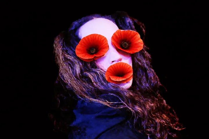  n° 3