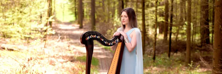  n° 5