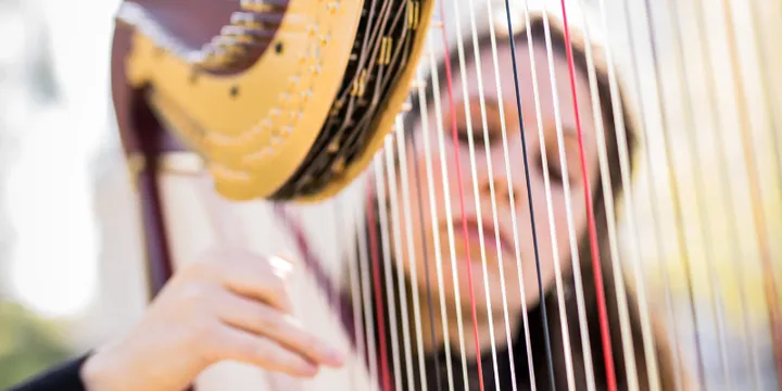 n° 1