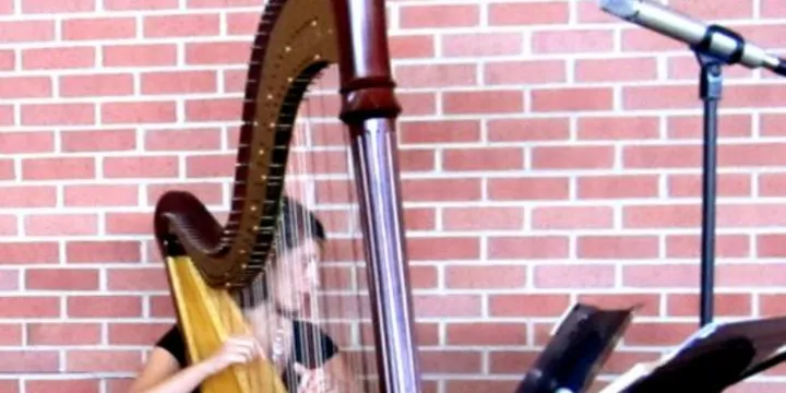 n° 3