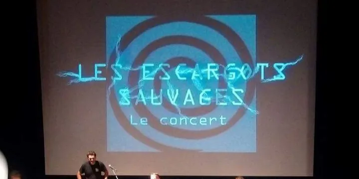 n° 1