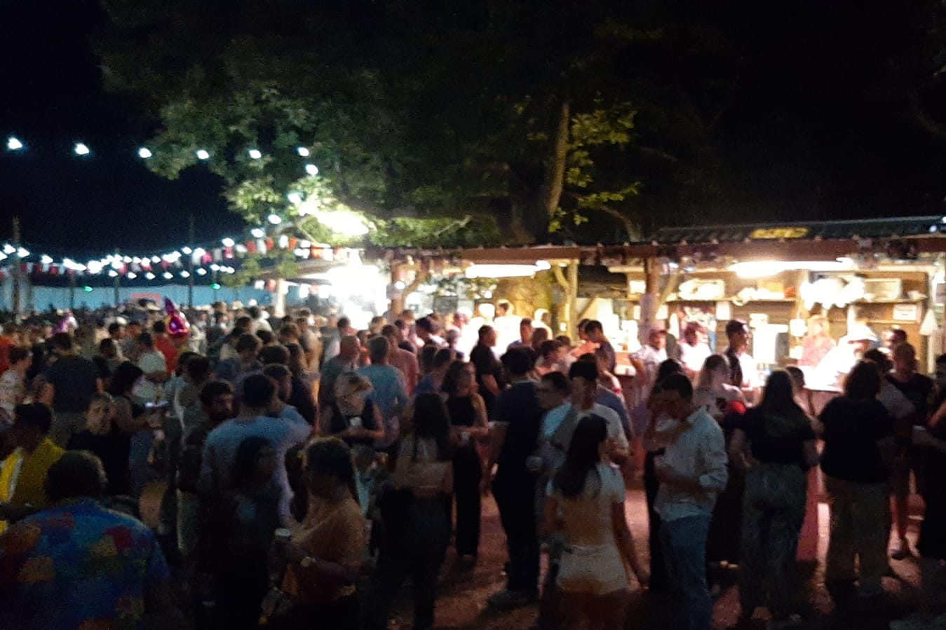 Photo de Festival pour Association