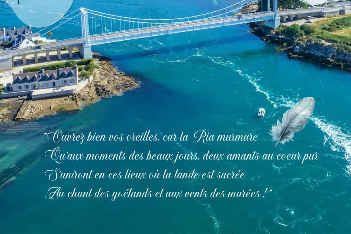 Photo de Mariage pour Particulier