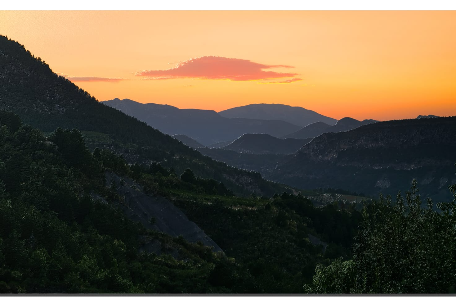 Photo de Animation de la commune pour Mairie / Collectivité