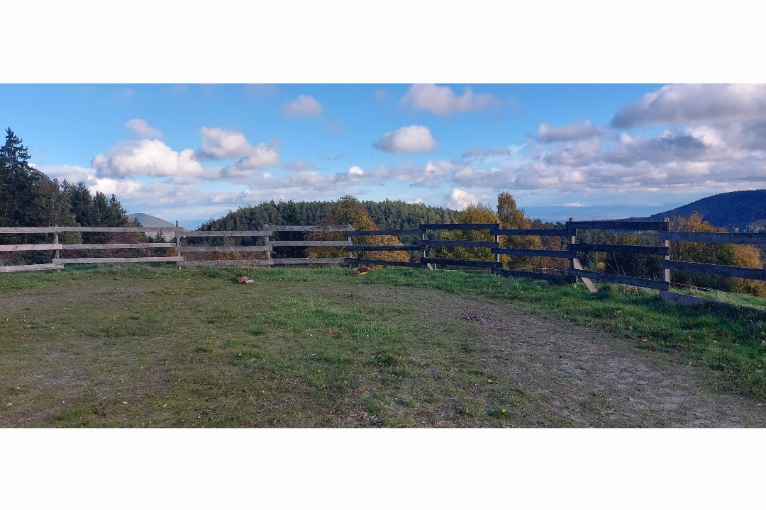 Photo de Mariage pour Particulier