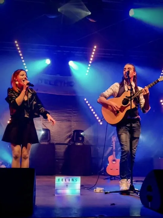 Les concerts passés et à venir de Felins