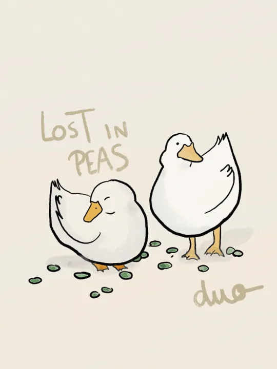 Les concerts passés et à venir de Lost in Peas