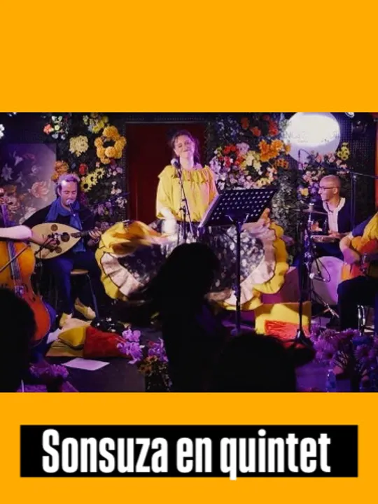 Les concerts passés et à venir de SONSUZA