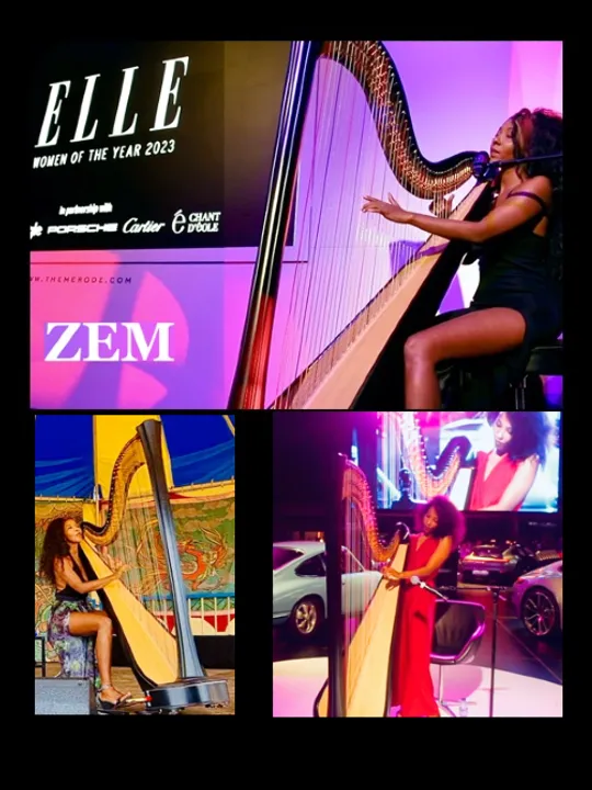 Les concerts passés et à venir de ZEM