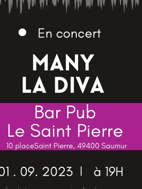 Les concerts passés et à venir de Ma Ny