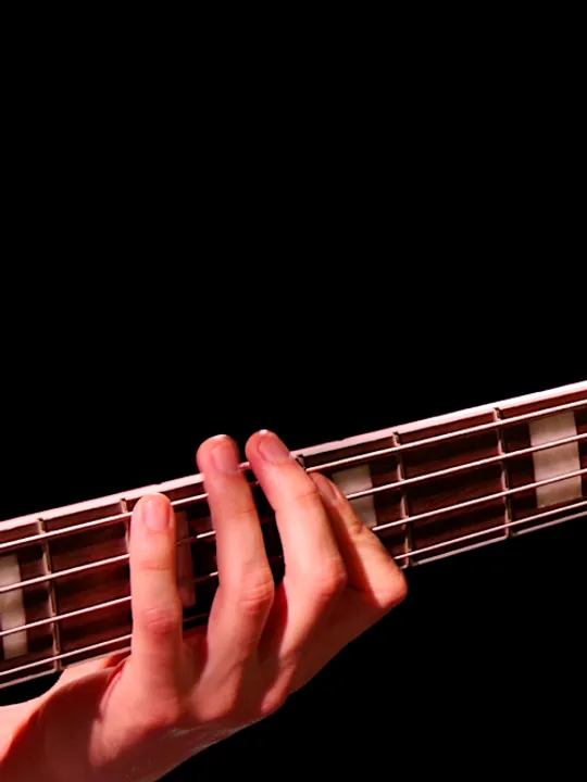 Les concerts passés et à venir de The Good Guy & The Other One