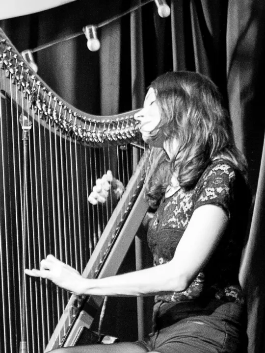 Les concerts passés et à venir de Gwenael Kerleo