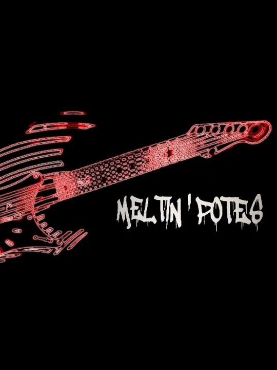 Les concerts passés et à venir de Meltin'potes