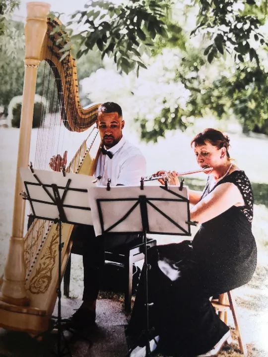 Les concerts passés et à venir de SamHarp