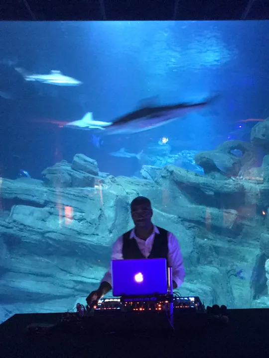Les concerts passés et à venir de MIXOFEELING DJ