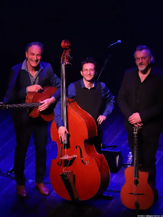 Les concerts passés et à venir de Django Dingos