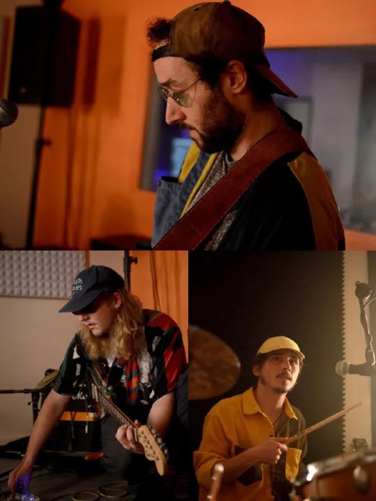 Les concerts passés et à venir de The Barking Spiders