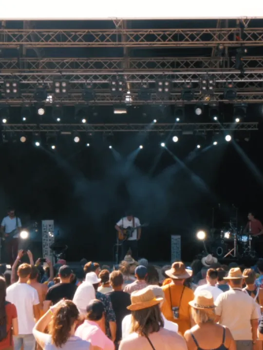 Les concerts passés et à venir de Wildation