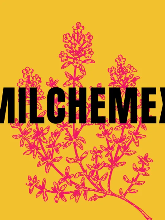 Les concerts passés et à venir de Milchemex