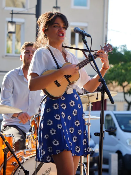 Les concerts passés et à venir de Froggy Blues Cie
