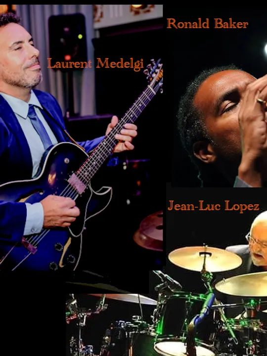 Les concerts passés et à venir de Laurent Medelgi