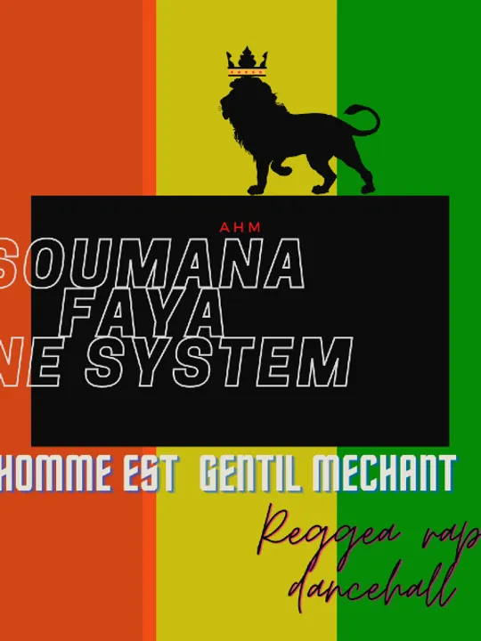 Les concerts passés et à venir de Soumana faya