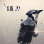 Bluej Rapper Blue Jay - Groupe de Musique : Rock, Blues | Linkaband