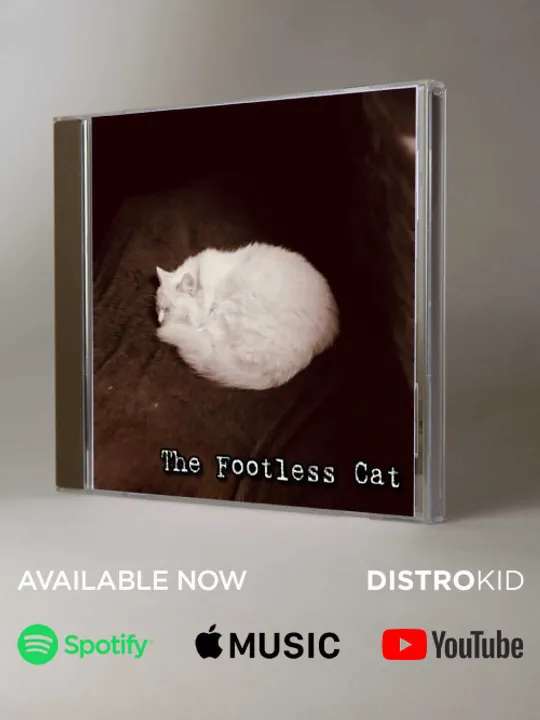 Le répertoire musical de THE FOOTLESS CAT