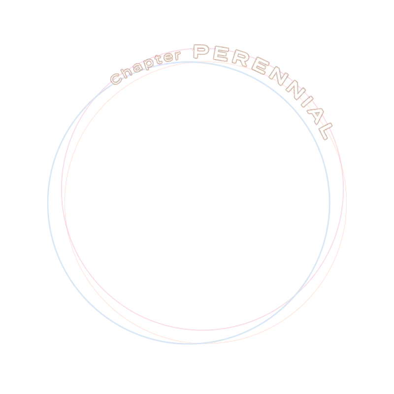 icon_frame_5000051